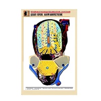 Рельефная таблица "Долька печени. Макро-микростроение" (формат А1, матовое ламинир.) - «globural.ru» - Кузнецк