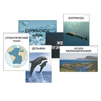 Модель-аппликация "Океаны. Знакомство" (ламинированная) - «globural.ru» - Кузнецк