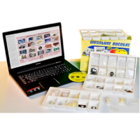 Коллекция натурально-интерактивная "Пластмассы" - «globural.ru» - Кузнецк