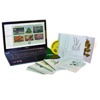 Гербарий натурально-интерактивный "Лекарственные растения" - «globural.ru» - Кузнецк