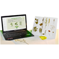 Гербарий натурально-интерактивный "Морфология растений" - «globural.ru» - Кузнецк