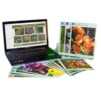 Гербарий натурально-интерактивный "Основные группы растений. Грибы. Лишайники" - «globural.ru» - Кузнецк