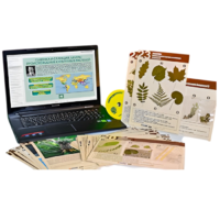 Гербарий натурально-интерактивный к курсу основ общей биологии - «globural.ru» - Кузнецк