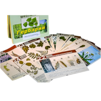 Гербарий к курсу основ общей биологии - «globural.ru» - Кузнецк