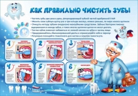 Стенд "Как правильно чистить зубы" - «globural.ru» - Кузнецк