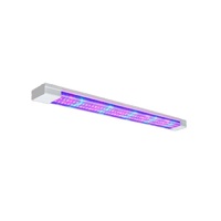 Фитолампа - «globural.ru» - Кузнецк