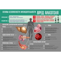Стенд "Алкоголь" - «globural.ru» - Кузнецк