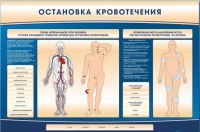 Электрифицированный стенд-тренажер "Остановка кровотечения" - «globural.ru» - Кузнецк