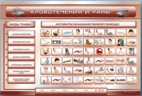 Трехсекционный базовый комплект "Травмы. Кровотечения. Ожоги" для учащихся общеобразовательных учреждений - «globural.ru» - Кузнецк