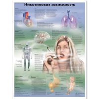Плакат "Никотиновая зависимость", ламинированный, 50*67 см - «globural.ru» - Кузнецк