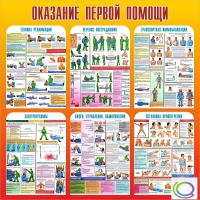 Стенд "Оказание первой помощи" - «globural.ru» - Кузнецк