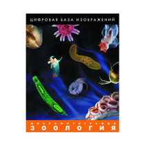 Зоология. Микрофотографии. (Цифровая база изображений) - «globural.ru» - Кузнецк