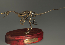 Модель скелета динозавра Velociraptor - «globural.ru» - Кузнецк