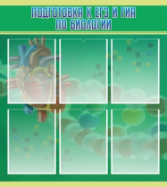 Стенд "Подготовка к ЕГЭ и ОГЭ по биологии" (вариант 1) - «globural.ru» - Кузнецк