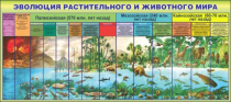 Стенд "Эволюция растительного и животного мира" - «globural.ru» - Кузнецк