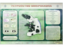 Электрифицированный стенд "Устройство микроскопа и правила работы c ним" - «globural.ru» - Кузнецк