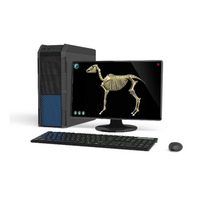 Макет масштабный «Скелет Лошади» Масштаб 1:2 - «globural.ru» - Кузнецк