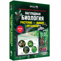 Наглядная биология. Растение - живой организм - «globural.ru» - Кузнецк