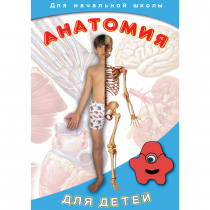 DVD  Анатомия для детей - «globural.ru» - Кузнецк