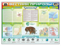 Стенд-уголок "Вестник природы" (вариант 1) - «globural.ru» - Кузнецк