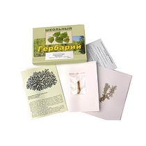 Гербарий "Водоросли. Грибы. Лишайники" (раздаточный) - «globural.ru» - Кузнецк