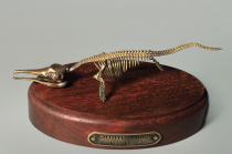 Модель скелета ихтиозавра Ichthyosaurus - «globural.ru» - Кузнецк