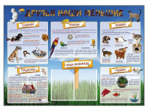 Стенд-уголок "Друзья наши меньшие" - «globural.ru» - Кузнецк