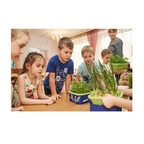 Обучающий комплект экологической направленности "Сити-фермер 2.0 Детский сад" 10 человек - «globural.ru» - Кузнецк