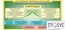 Стенд "Методы селекции и биотехнологии" - «globural.ru» - Кузнецк