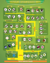 Стенд "Эволюция органического мира" - «globural.ru» - Кузнецк