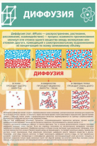 Стенд "Диффузия" - «globural.ru» - Кузнецк