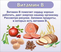 Стенд "Витамин В" - «globural.ru» - Кузнецк