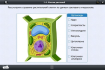 Интерактивные курсы. Биология 9 класс. Базовый - «globural.ru» - Кузнецк