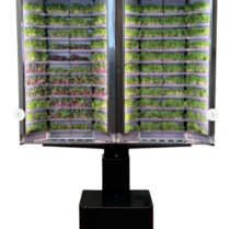 Вертикальная  ферма «Моя микрозелень» комплектация  «Театро настенная» - «globural.ru» - Кузнецк