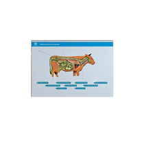 Стенд-планшет светодинамический "Изучение нервной системы сельскохозяйственных животных" со сменными панелями - «globural.ru» - Кузнецк