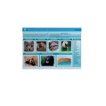 Стенд-планшет светодинамический «Острые отравления животных лекарственными препаратами» - «globural.ru» - Кузнецк