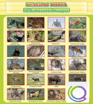 Стенд "Красная книга - млекопитающие" - «globural.ru» - Кузнецк