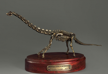 Модель скелета динозавра Brachiosaurus - «globural.ru» - Кузнецк