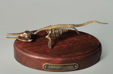 Модель скелета ихтиозавра Ichthyosaurus - «globural.ru» - Кузнецк