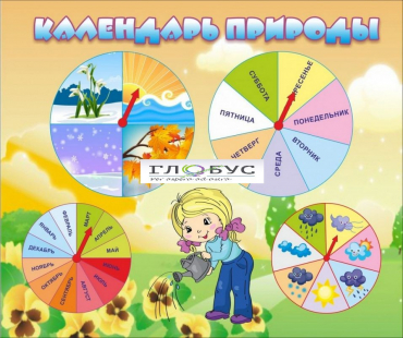 Стенд "Календарь природы" (вариант 1) - «globural.ru» - Кузнецк