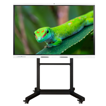 Интерактивный комплекс Geckotouch ​​​​​​​65RK - «globural.ru» - Кузнецк
