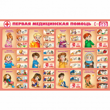 Стенд "Первая помощь" - «globural.ru» - Кузнецк