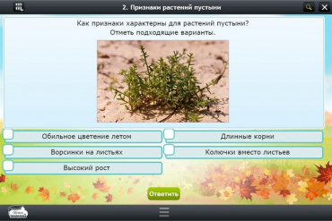 Интерактивные курсы. Окружающий мир 3 класс. Базовый - «globural.ru» - Кузнецк