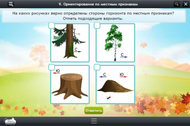 Интерактивные курсы. Окружающий мир 1 класс. Базовый - «globural.ru» - Кузнецк