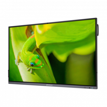 Интерактивный программно-аппаратный комплекс Geckotouch Interactive IP75GT-C в комплекте с настенным креплением - «globural.ru» - Кузнецк